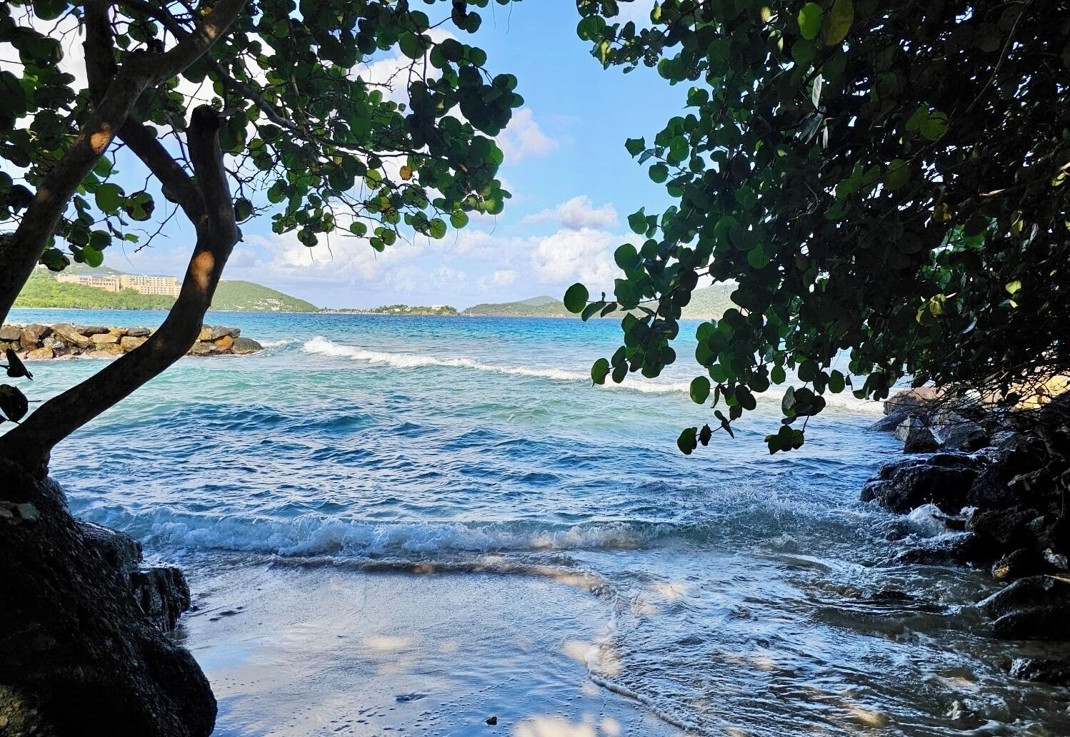 A beach with waves, a rocky shoreline, and a tree in the foreground.