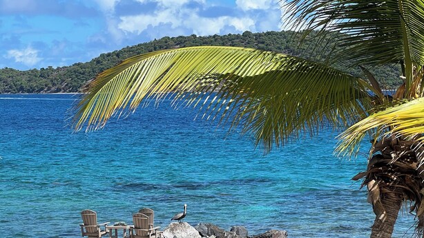 A beach with a table and chairs, a palm tree, and a rocky shoreline. - "ONE BEACH ROAD Villa", St Thomas VI, 6 Bedroom, 5 1/2 Bath Beachfront Oasis (St. Thomas)