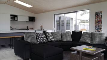 TV, fireplace, DVD player, books