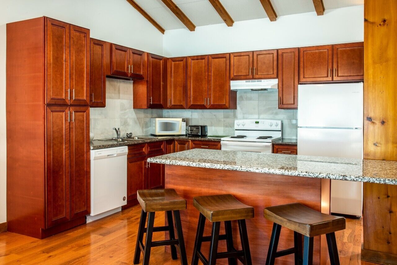 Sk/ in--Ski-out, At the Base of Ski Hills/Backyard/Mountain Views, 3 bdrm/2baths