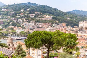 Paesaggio costiero con edifici, un albero in evidenza e una distesa d'acqua.