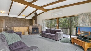 TV, fireplace, DVD player