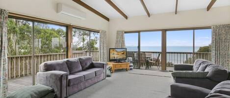 TV, fireplace, DVD player