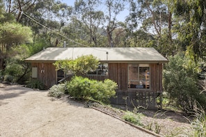 A small wooden cabin with a metal roof, surrounded by dense vegetation.
