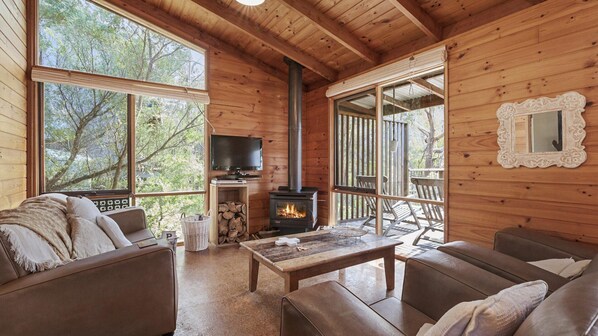 TV, fireplace, DVD player