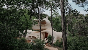 A unique architectural structure surrounded by dense forest.