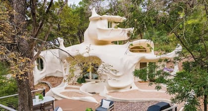 The Bloomhouse | Iconic Austin Sculptural Stay