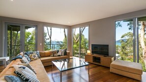 Télévision, cheminée, lecteur de DVD, médiathèque