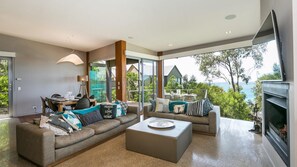 Télévision, cheminée, lecteur de DVD, médiathèque