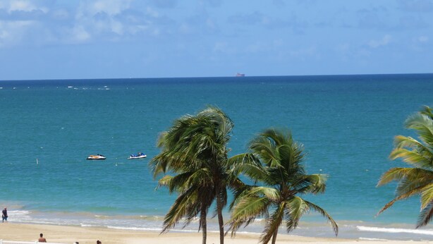 Ein Strand mit Palmen, sandigem Ufer und ruhiger See.