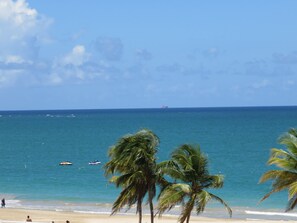 A beach with palm trees, a sandy shore, and a calm sea.