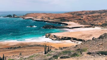 Playa en los alrededores, camastros y toallas de playa