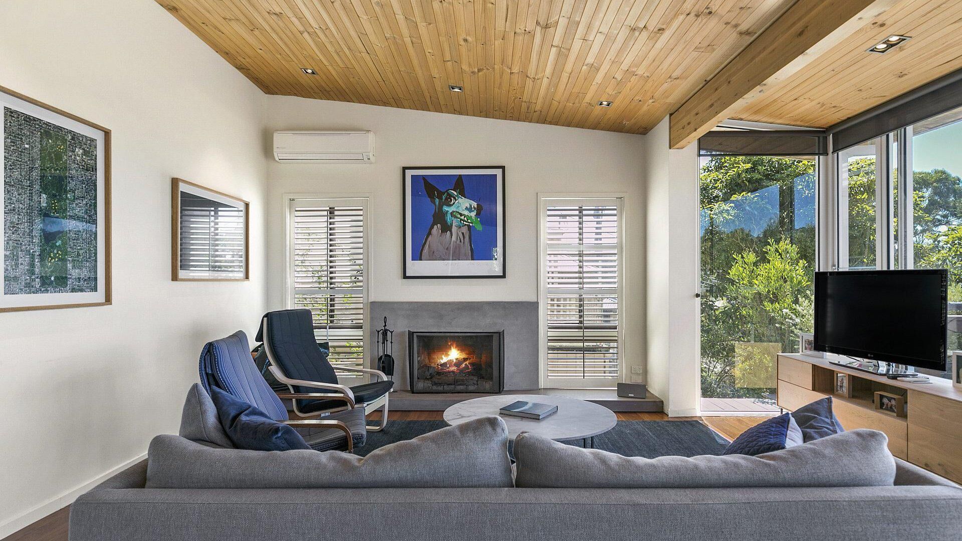 TV, fireplace