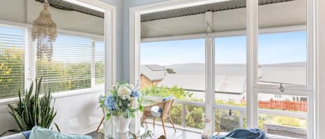 Smart TV, chimenea, Netflix y libros