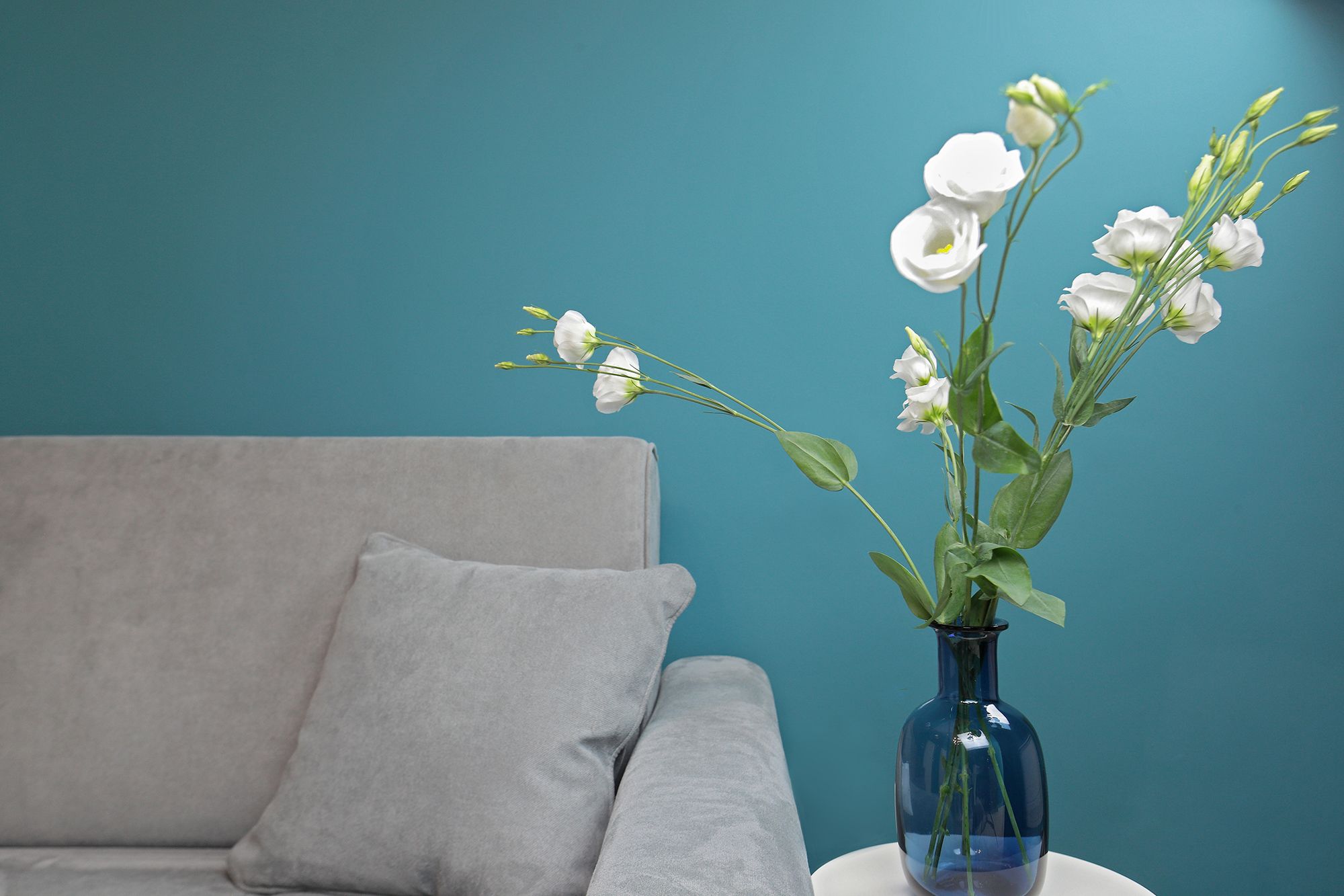 Foto - B&Bari, via Cairoli - guesthouse Le Case di Aurelia