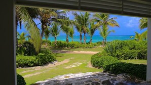 Un jardin tropical avec des palmiers et une vue sur l’océan.