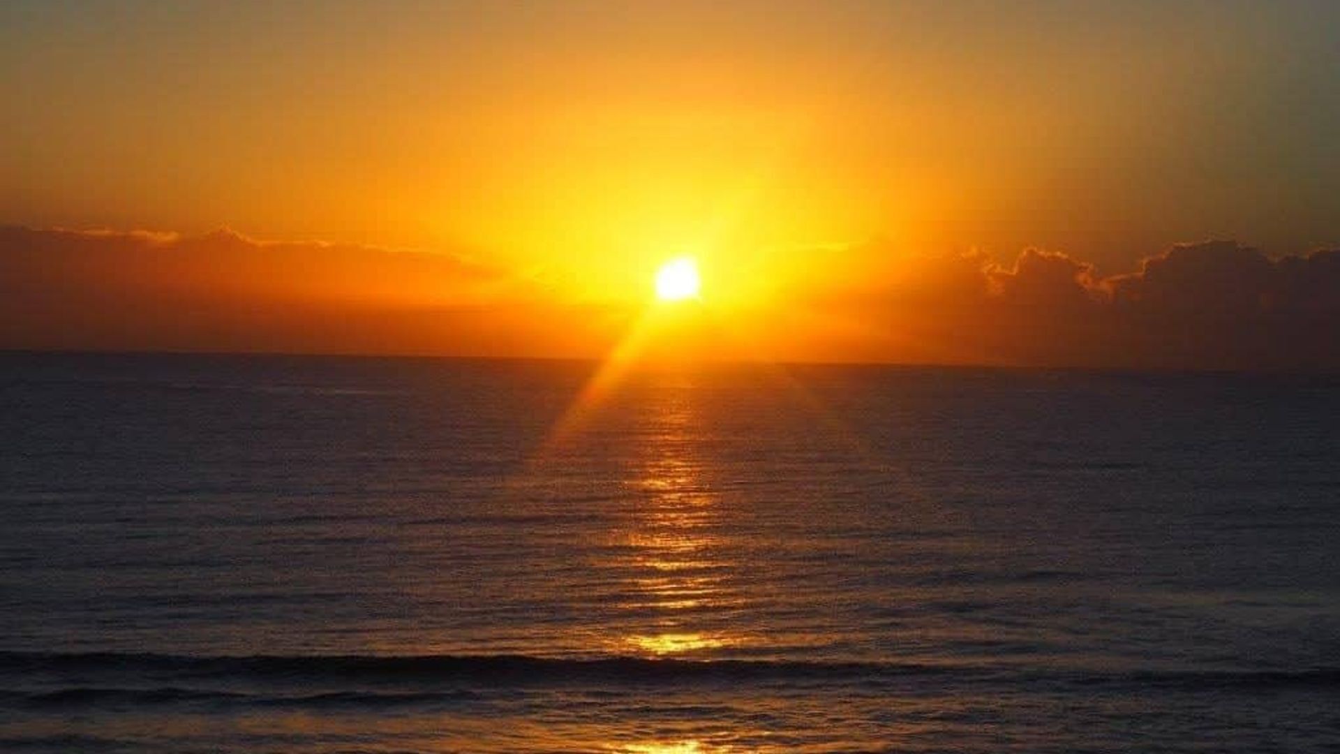 Pelican Sands 401 - Absolute Beachfront at Tugun - Min. 3 night stays! — image 14