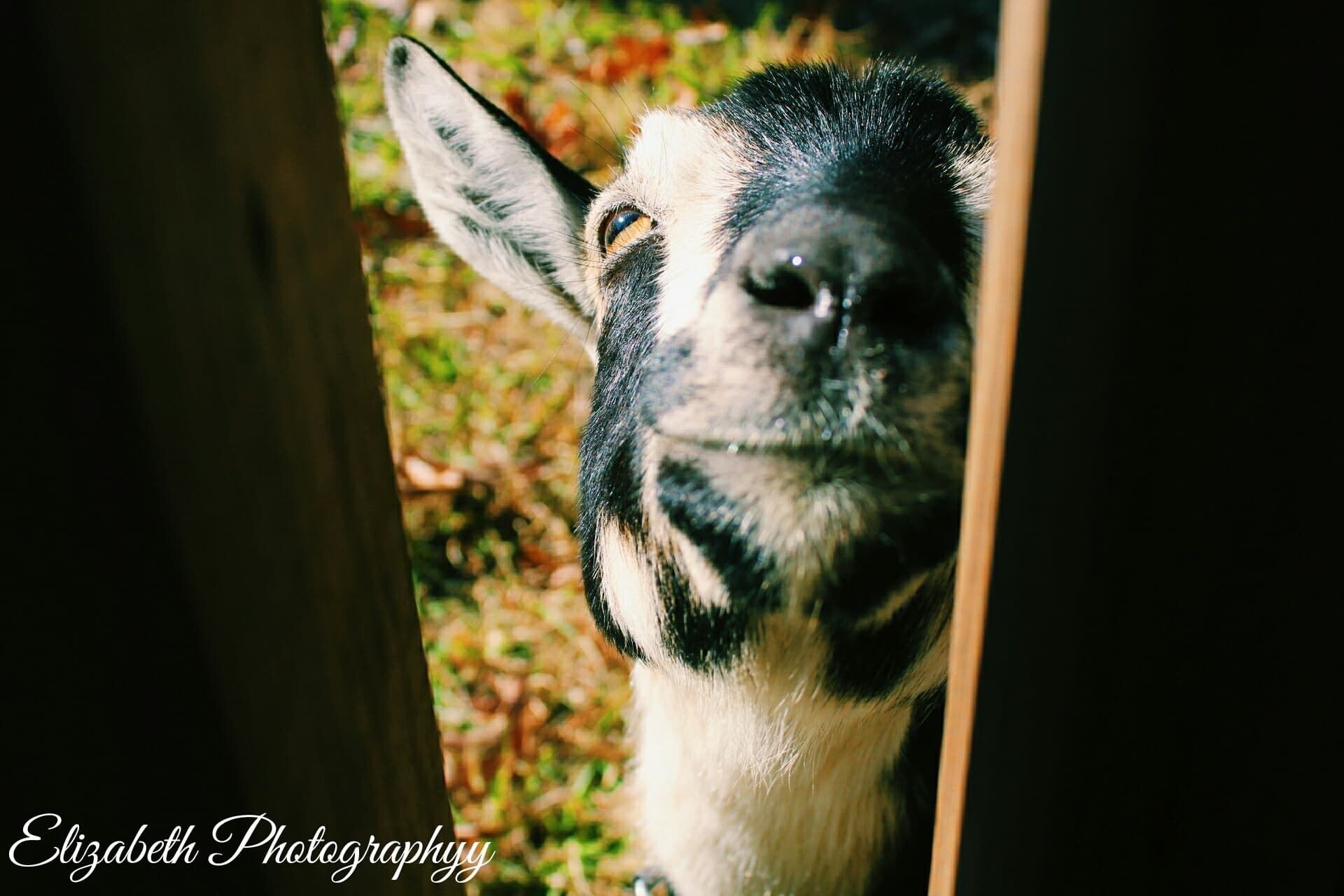 3 RV Camp site 269 Highway E, Mena AR 71953