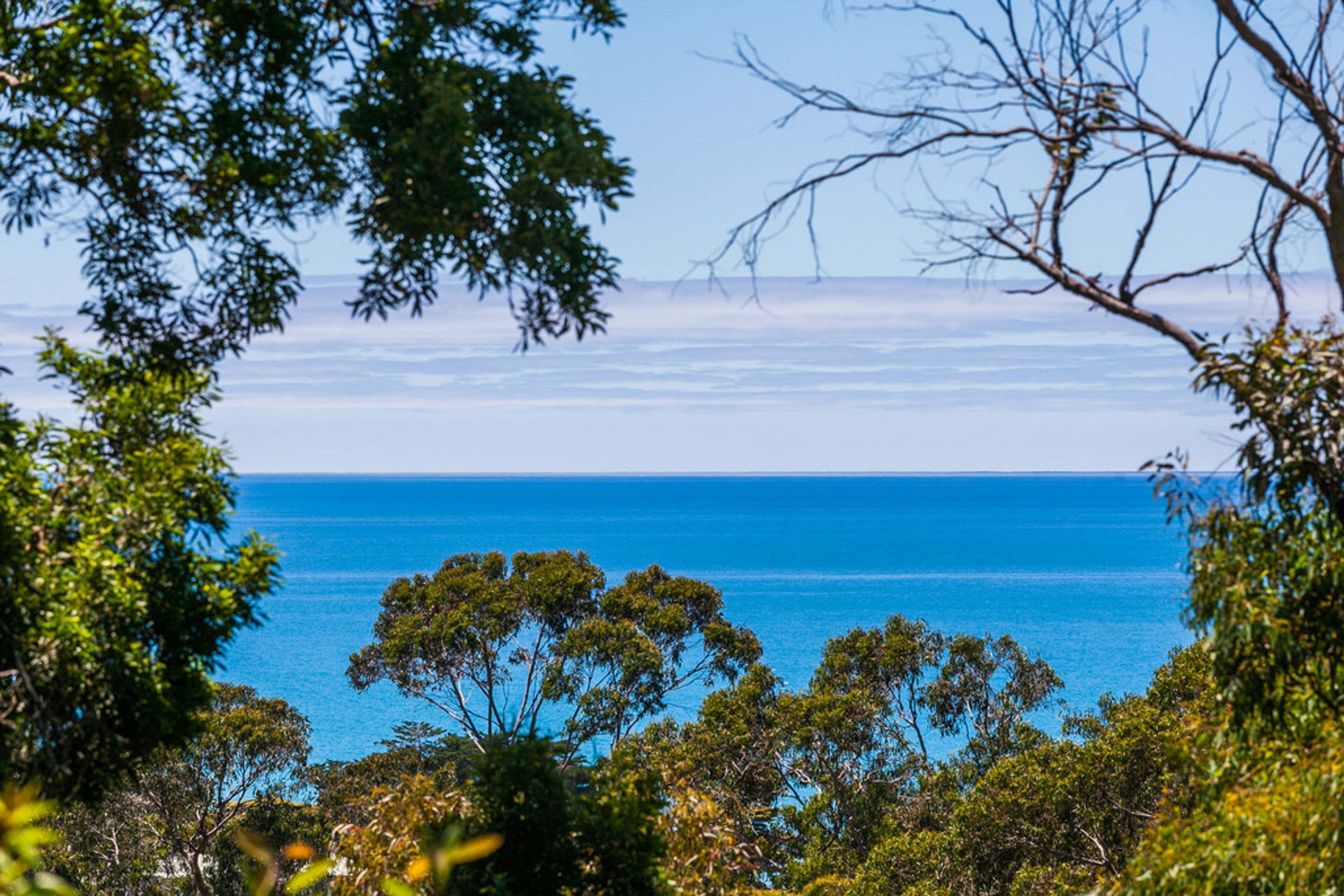 Paisagem costeira com vista para o mar e vegetação densa.