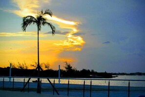 A sunset over a body of water with a palm tree and a railing in the foreground.