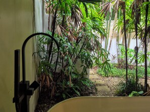 Property grounds - 38 Beachfront Mirage Drive, Port Douglas QLD 4877 (Port Douglas)
