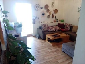 TV, DVD player, books, video library