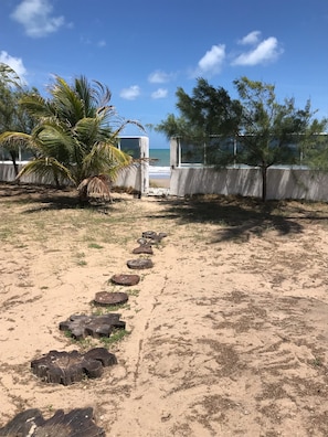 Uma praia arenosa com uma fileira de tocos de árvores que levam a uma estrutura de concreto.