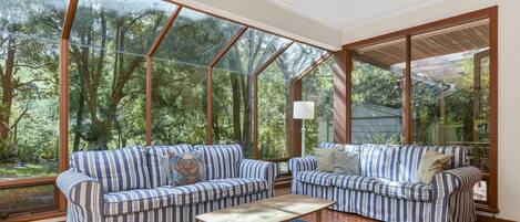 TV, fireplace, DVD player, books