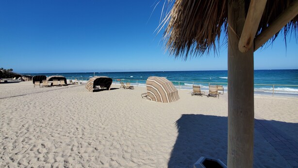 Una playa con tumbonas, zonas de sombra y una palmera, con el océano al fondo.