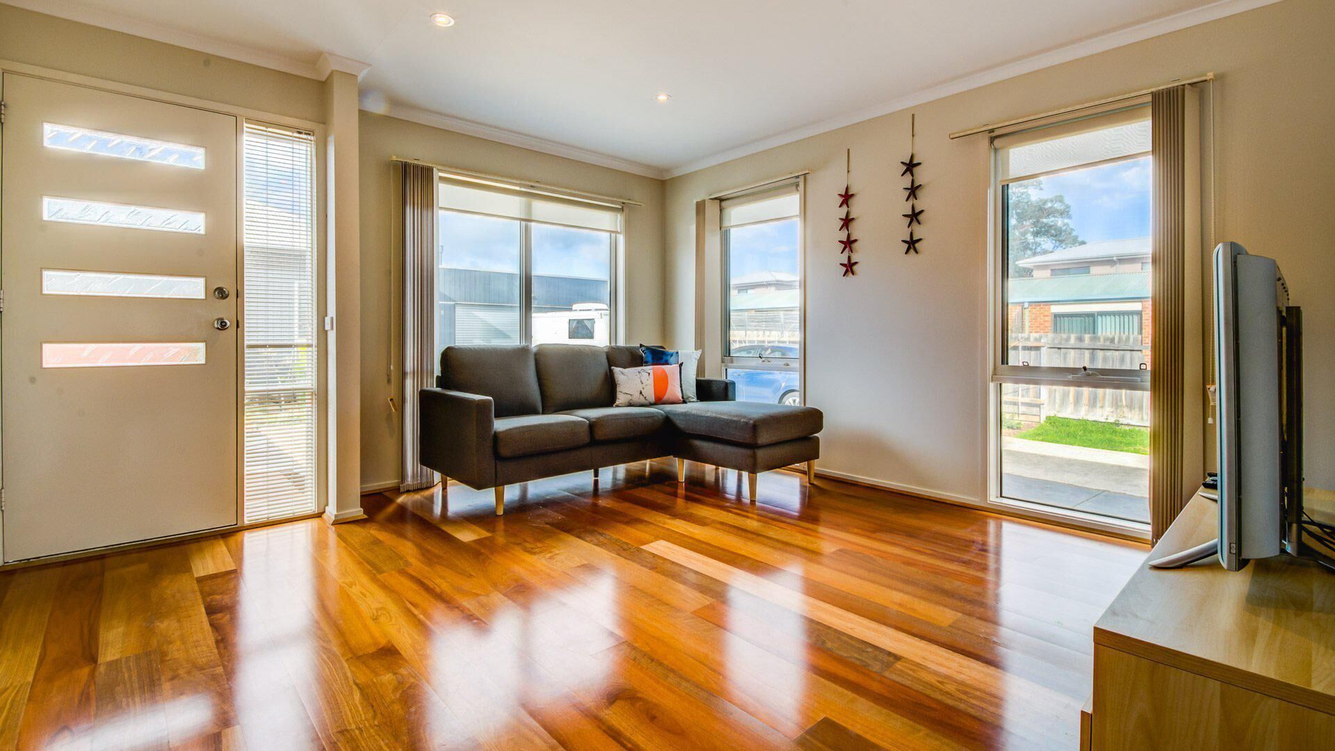 Televisio, DVD-soitin, kirjoja, videokirjasto