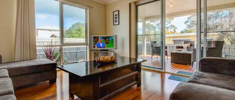 TV, DVD player, books, video library