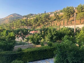 Property grounds - Guest House Emiliano (Berat)