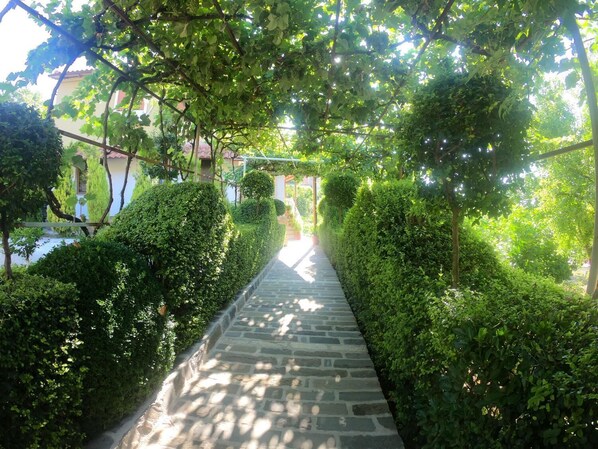 Property grounds - Guest House Emiliano (Berat)