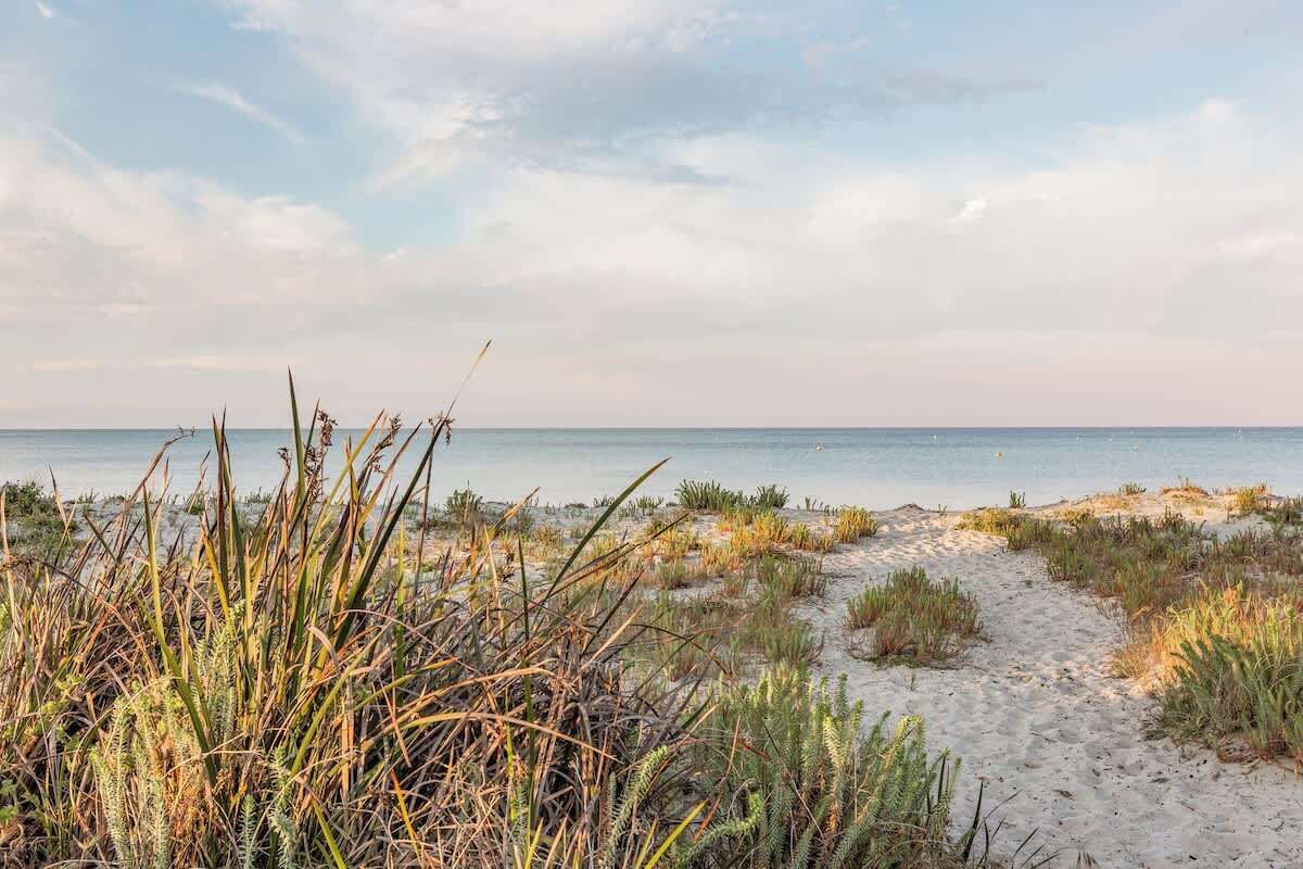 Strand