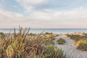 A beach path leading to the ocean with sparse vegetation.