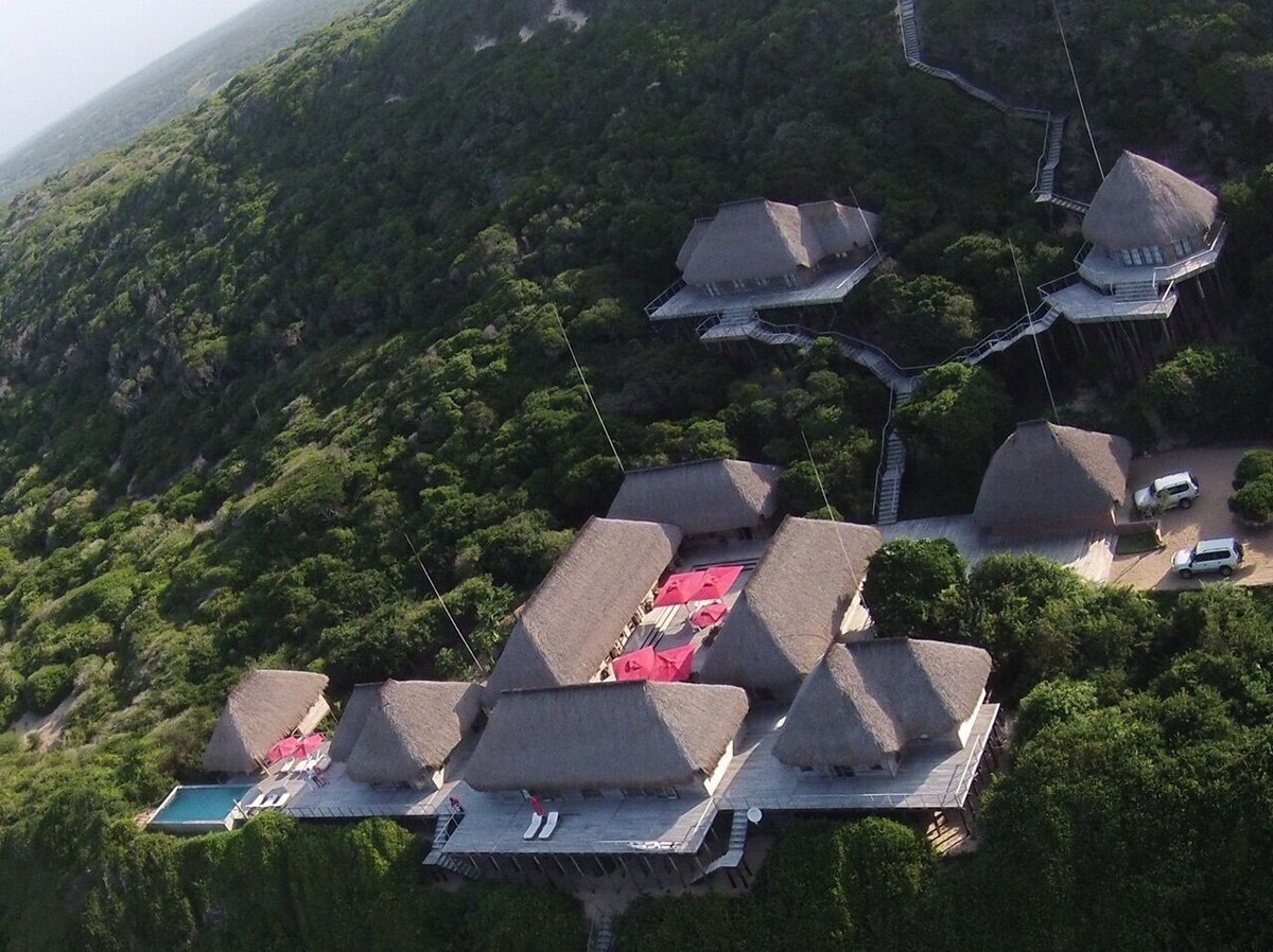 Imagen de perfil del propietario o de la propietaria