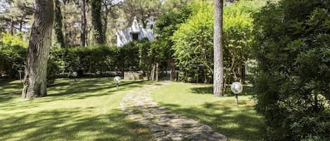 Un camino de piedra que conduce a un edificio blanco rodeado de exuberante vegetación y árboles.