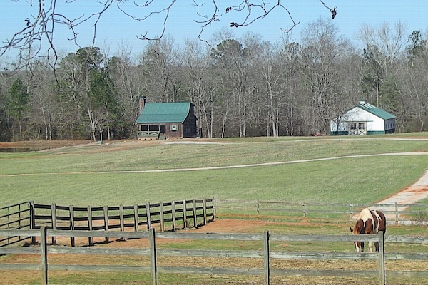 Campo sportivo