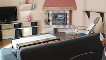 TV, fireplace, books