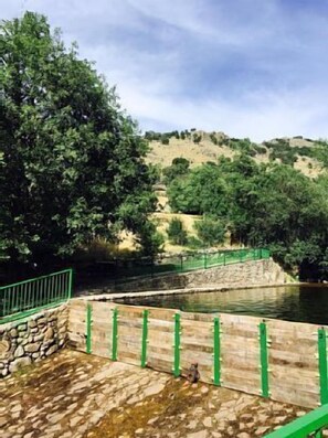 Niet-geclassificeerde afbeelding, 4 van 12, knop