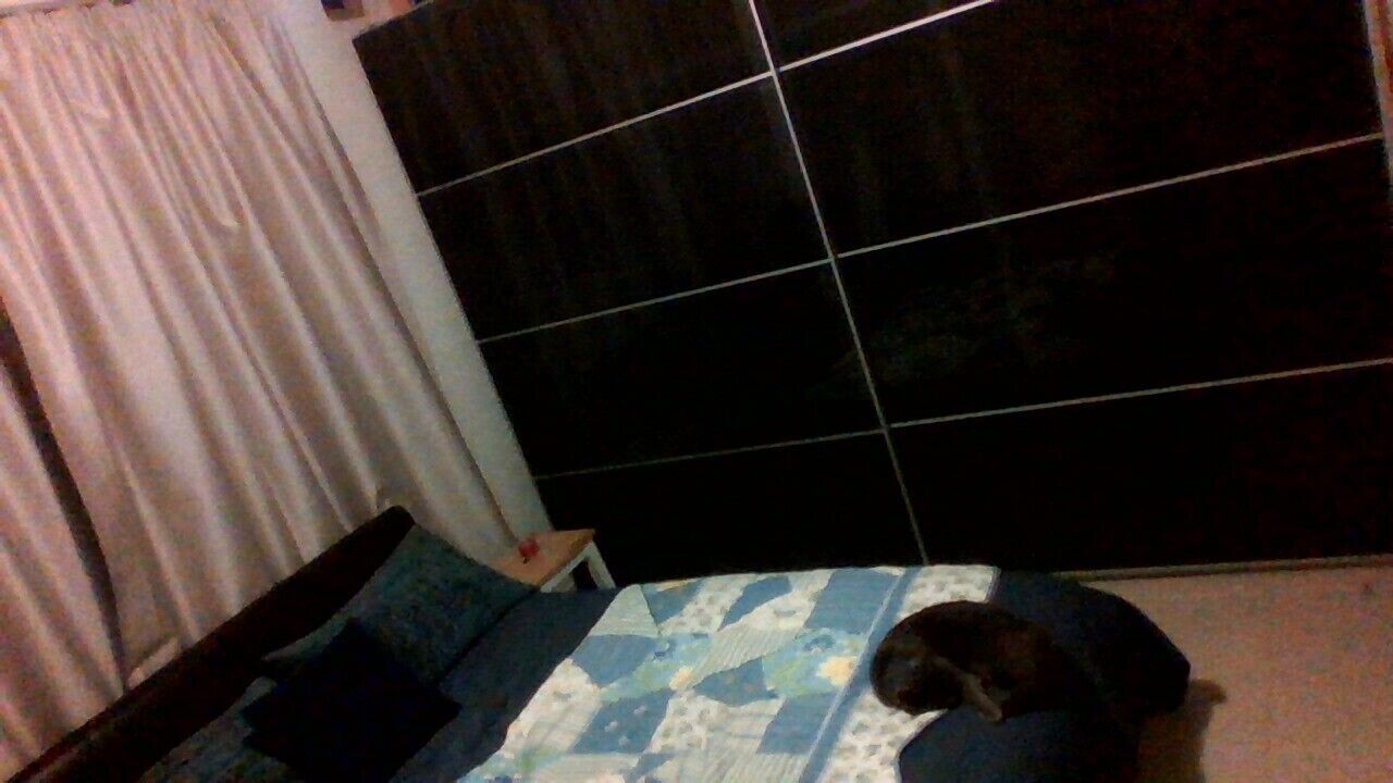 2BR HOLIDAY RENTAL -modern unit - dishwasher Mitchell Park — image 7