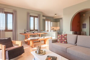 智能电视、壁炉、DVD 播放器、书