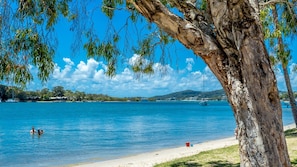 A beach with clear blue water, a sandy shore, and a tree with hanging branches. - LOCATION DOESN'T GET ANY BETTER THAN THIS (Noosaville)