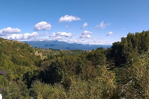 Un paysage montagneux, avec une forêt dense et un ciel dégagé.