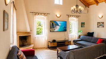 Smart TV, fireplace, books, video library
