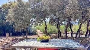 An outdoor patio with a table and chairs, surrounded by trees and plants.