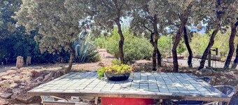 Cortijo rural bacares 3