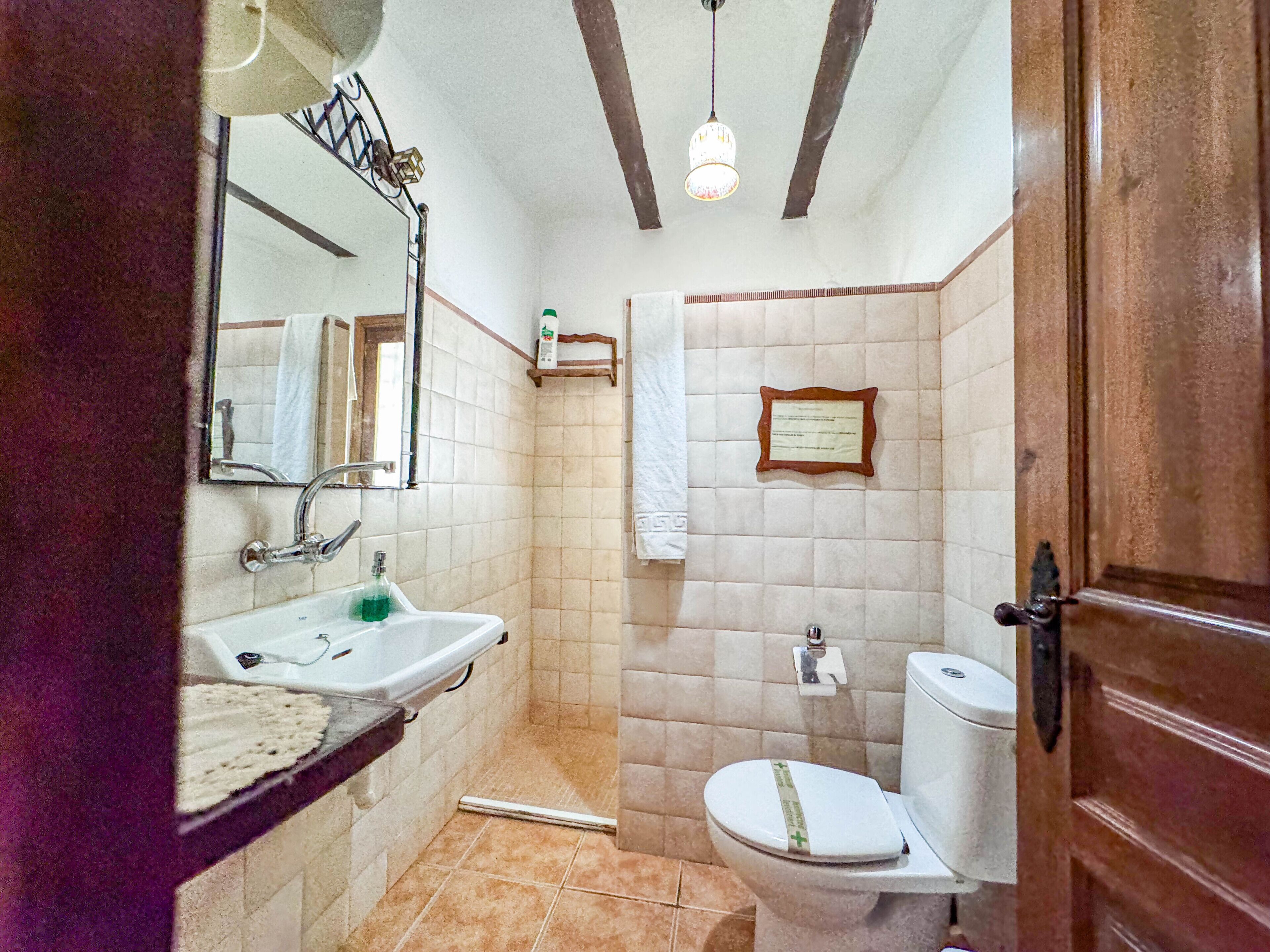 Baño con lavabo, espejo, inodoro y ducha.
