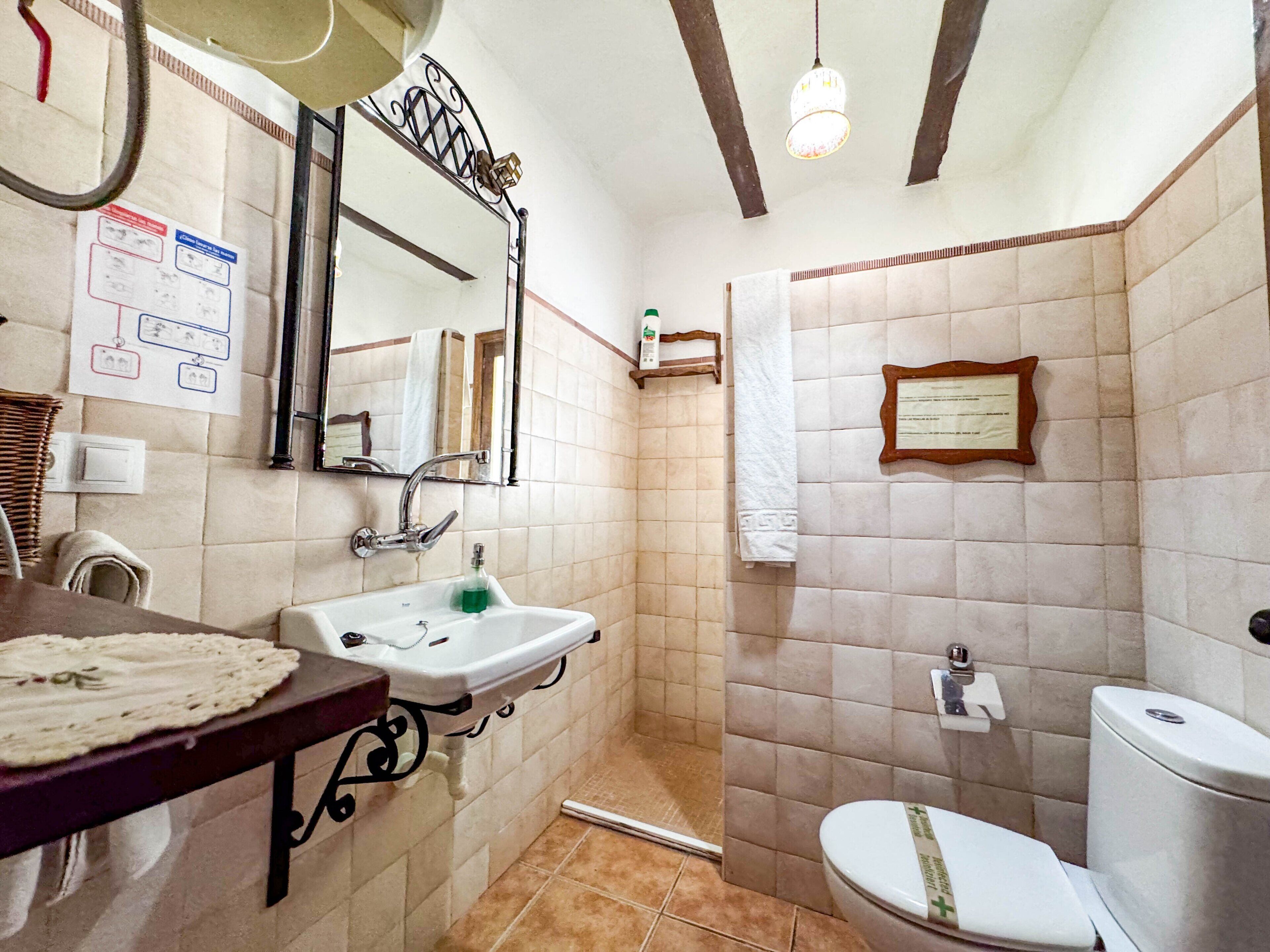 A bathroom with a sink, mirror, toilet, and shower area.