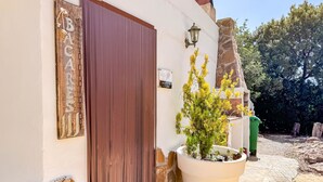 A building with a wooden door and a large potted plant.